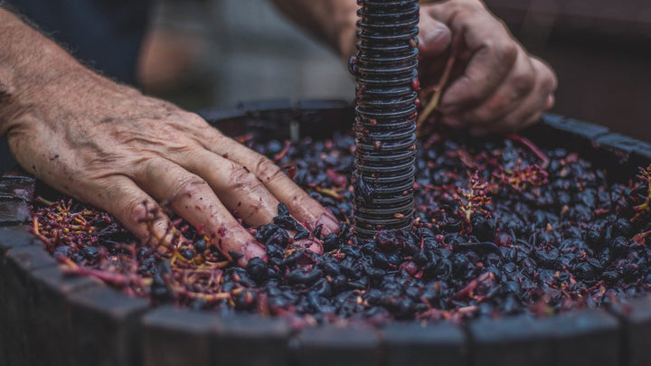 Wine making essentials - Before making the wine